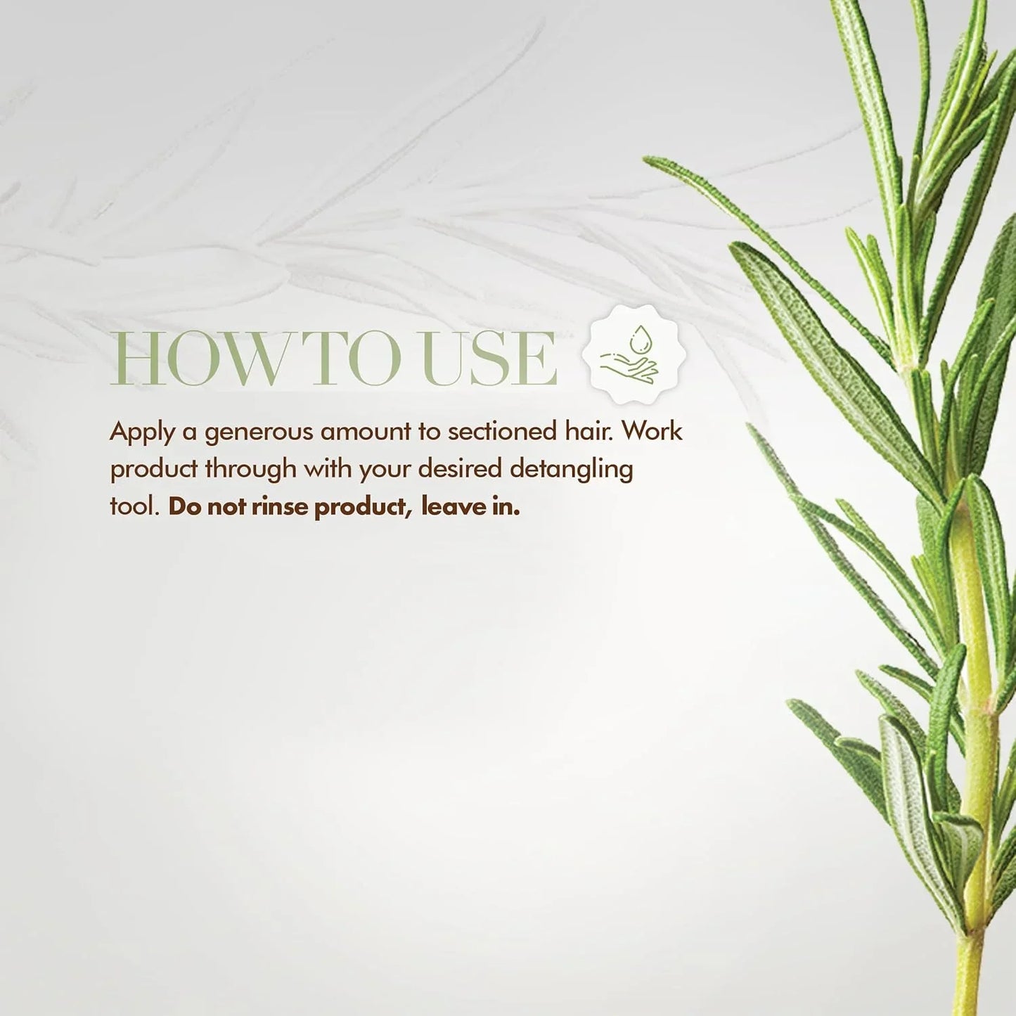 Mielle Rosemary Mint Leave-In Conditioner 3